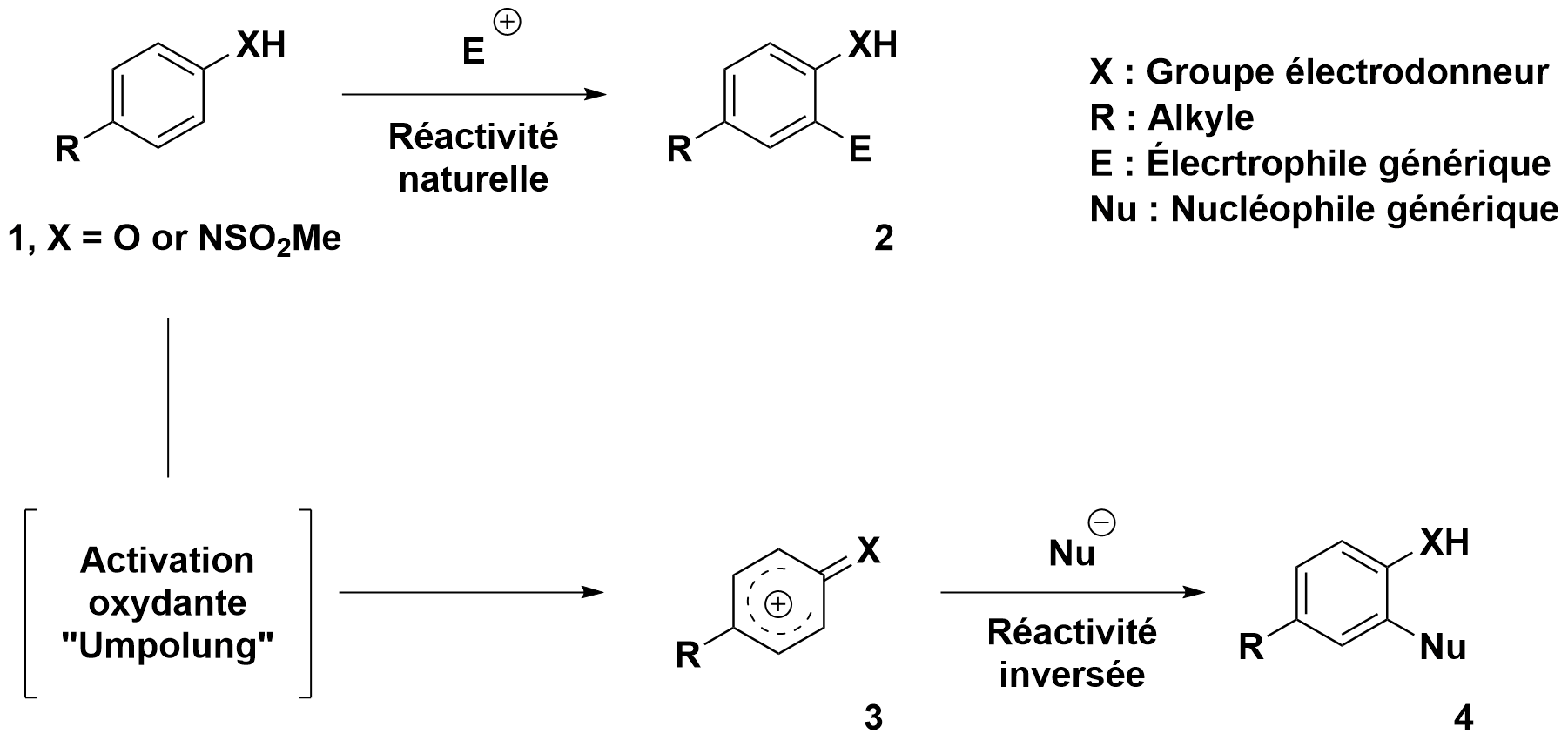 conceptumpolung1