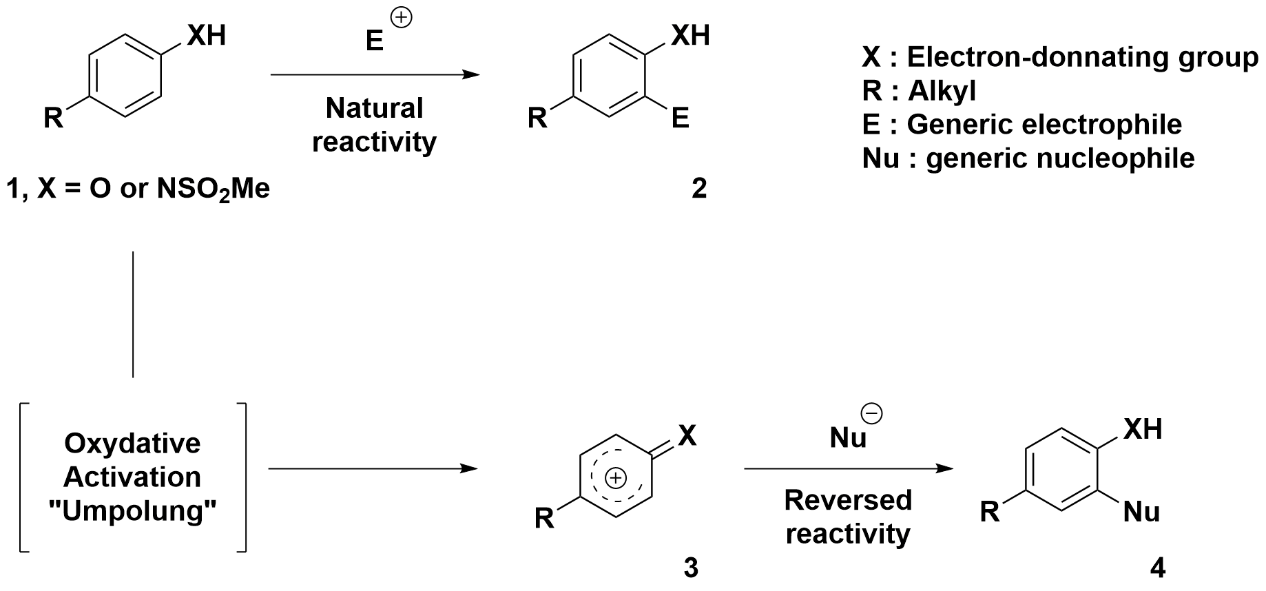 conceptumpolung1