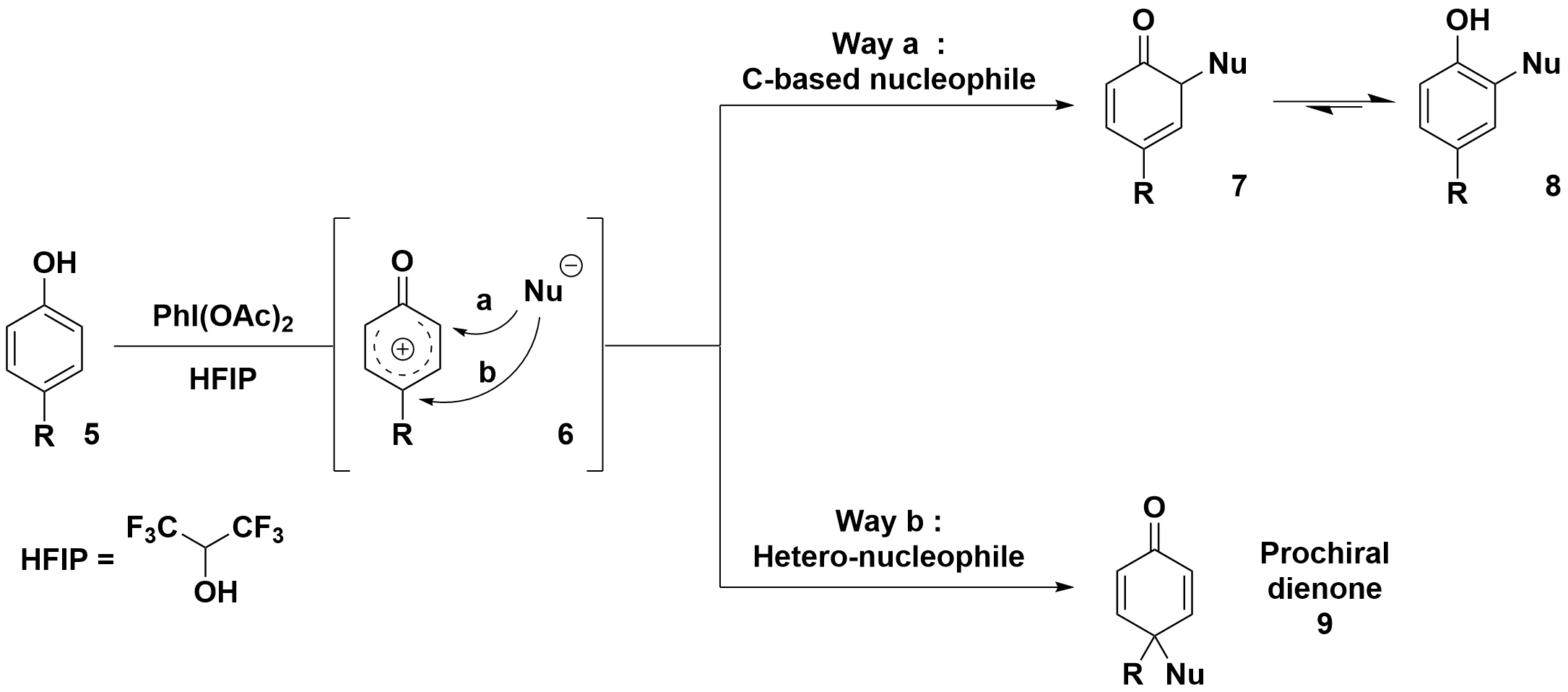 conceptumpolung2